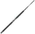 Mojo Salt Spinning Rod L173