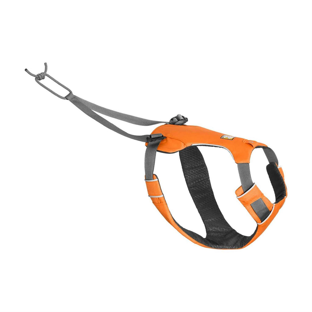 Pet Supplies J722959