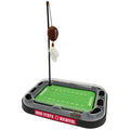 Cat Scratcher Toy with Catnip S301