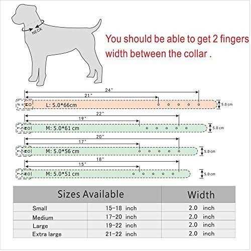 Leather Dog Collar 2 Inch N88592