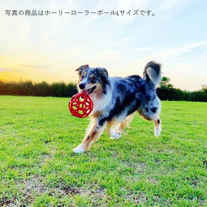 Dog Toy J5246