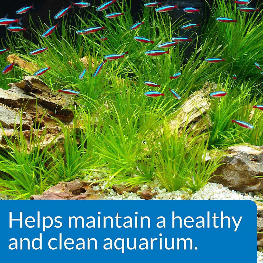 Aquarium Start Up Pack U970812