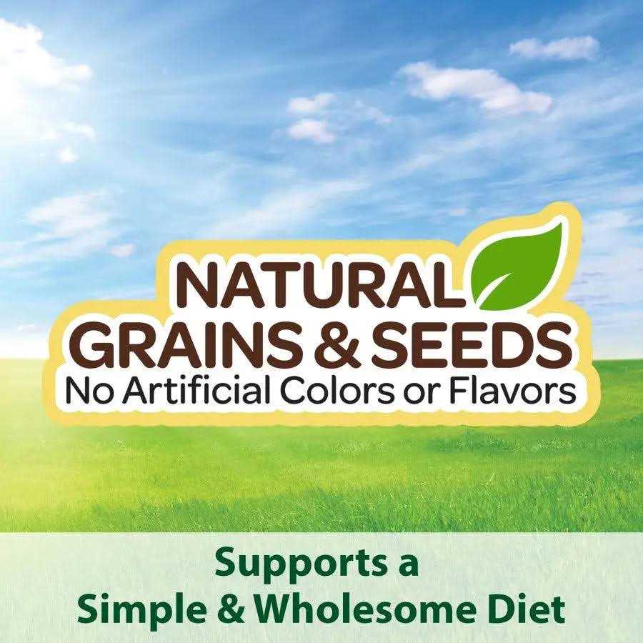 Parrot Food W85270