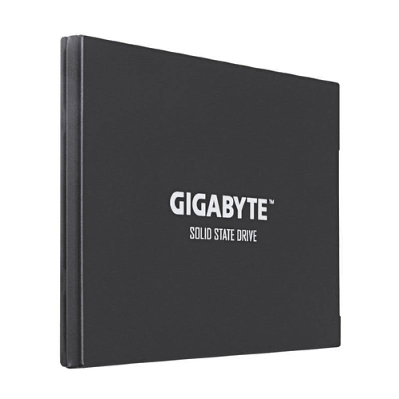 256gb Gigabyte Internal Solid State Drive F863968