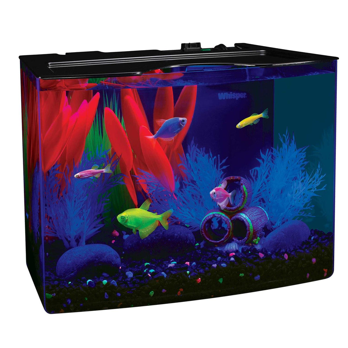 Aquarium Kit with Blue LED I68103
