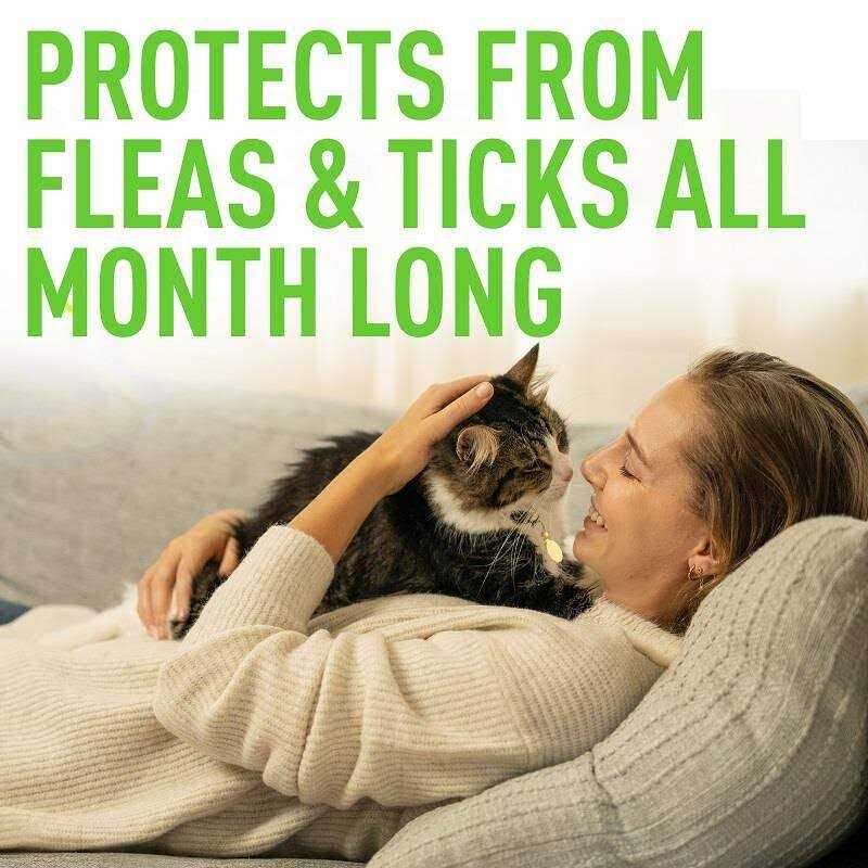 Credelio for Cats I555150