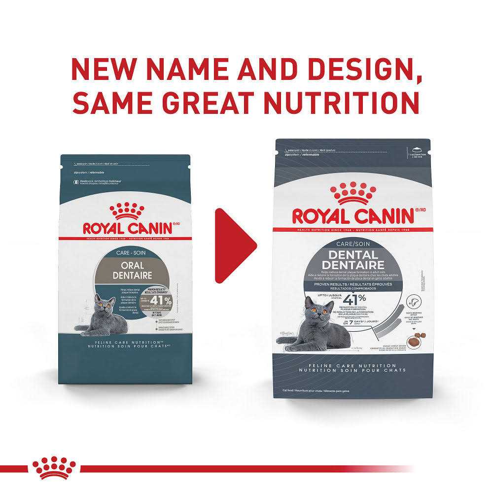 Dry Cat Food P13268