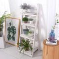 4Tier Wooden Plant Stand Foldable Ladder Shelf G87701