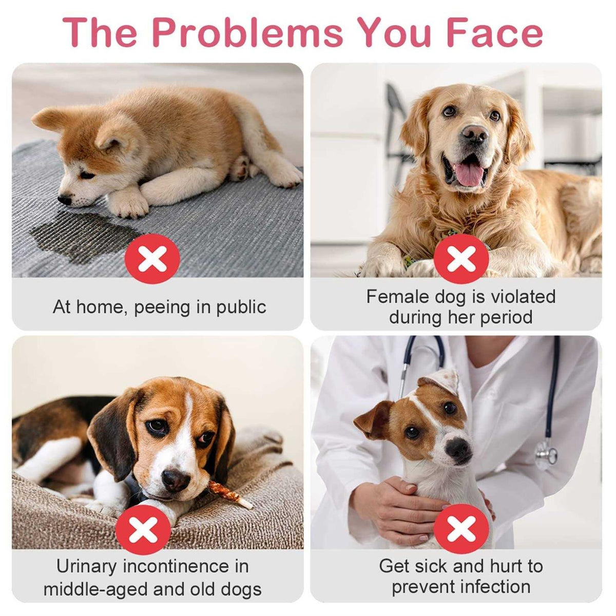 Disposable Female Dog Diapers with Adjustable Elastic Waistline L215902