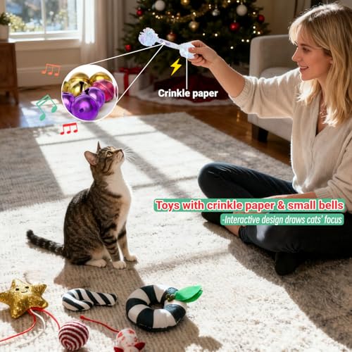 Christmas Cat Toys Set, 10Pcs Catnip Toys with Gift Box F742