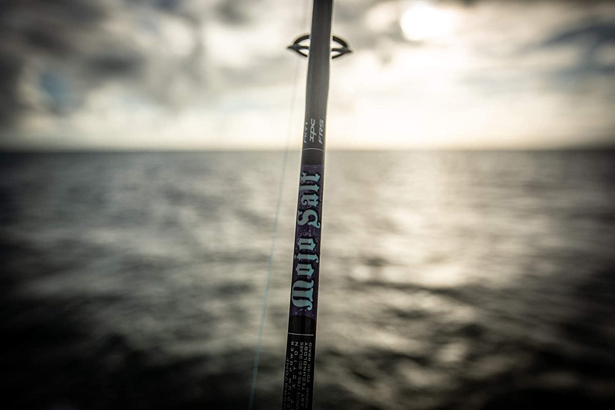 Mojo Salt Spinning Rod L173