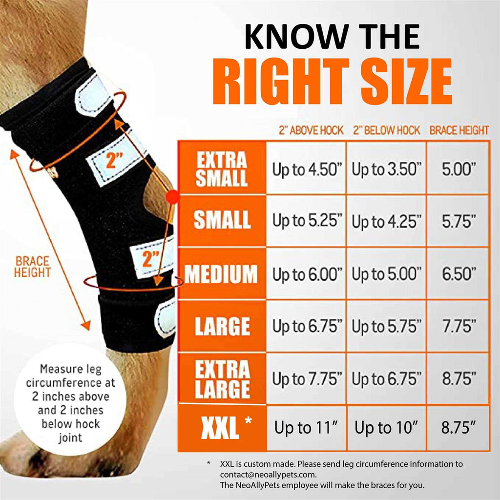 3-in-1 Dog Splint Braces V2552