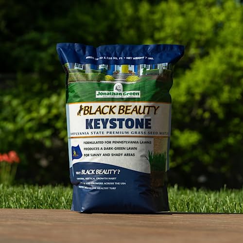 Black Beauty Grass Seed 7 lb I3973