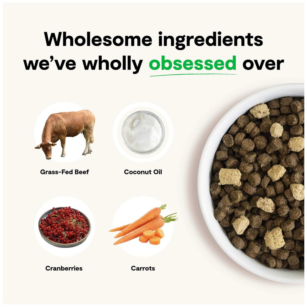 Grain Free Dog Food I186