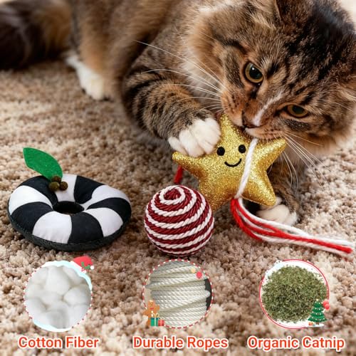 Christmas Cat Toys Set, 10Pcs Catnip Toys with Gift Box F742