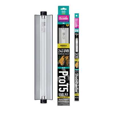 Reptile Kit Z337507