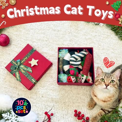 Christmas Cat Toys Set, 10Pcs Catnip Toys with Gift Box F742
