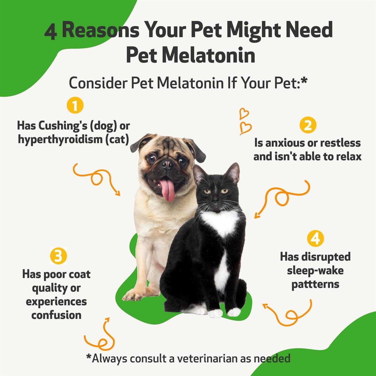 Melatonin for Dogs R4834