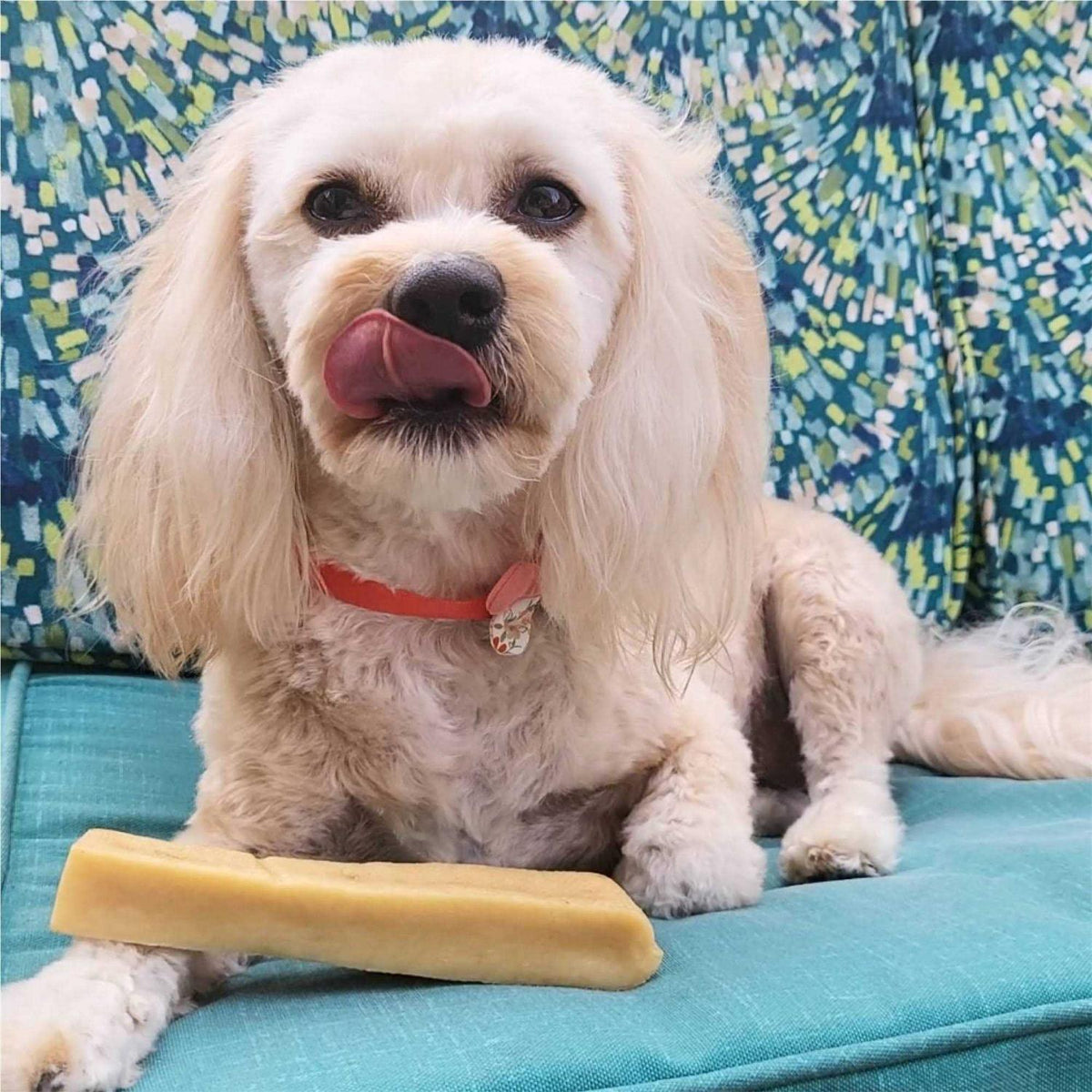 Dog Chew W845