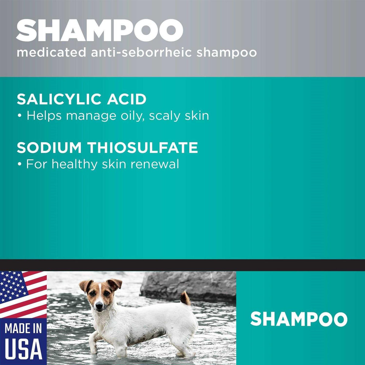Medicated Anti-Seborrheic Dog Shampoo C190812