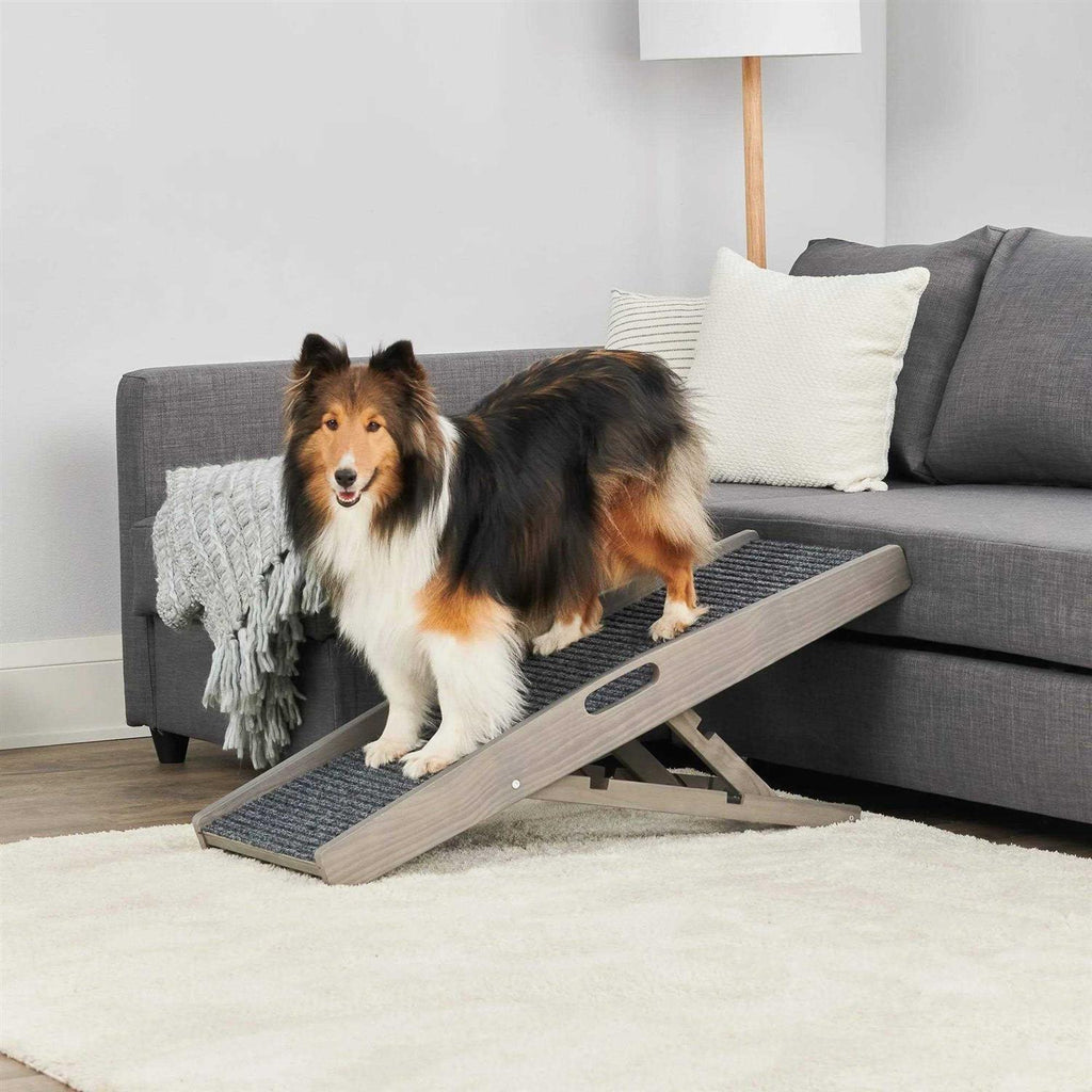 Indoor Pet Ramp F90998