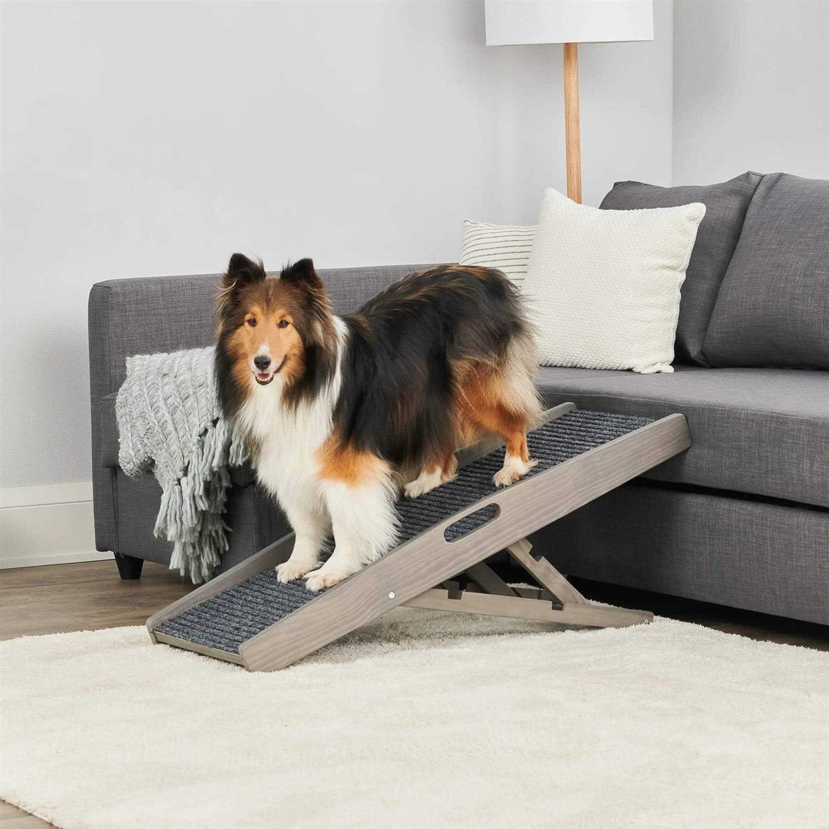Indoor Pet Ramp F90998