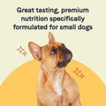 Salmon Small Breed Puppy Dry Dog Food F116