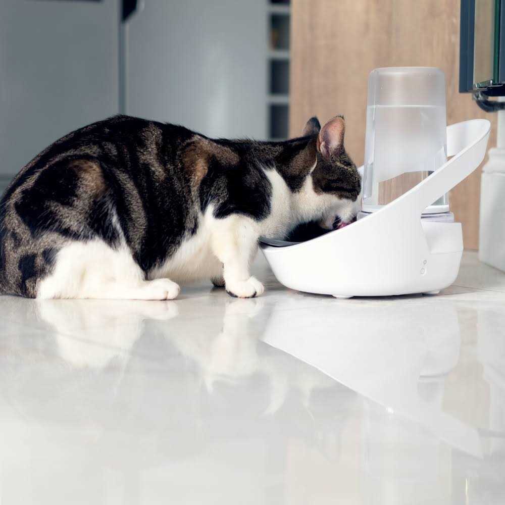 Felaqua Connect Pet Supplies K6598