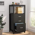 Black 3 Drawer Vertical File Cabinet with Metal Wire Storage Shelves E1521