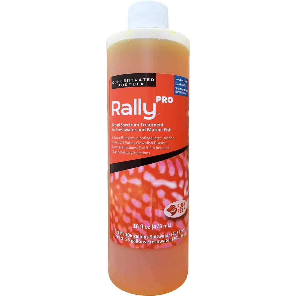 Ruby Reef Rally Pro I22179