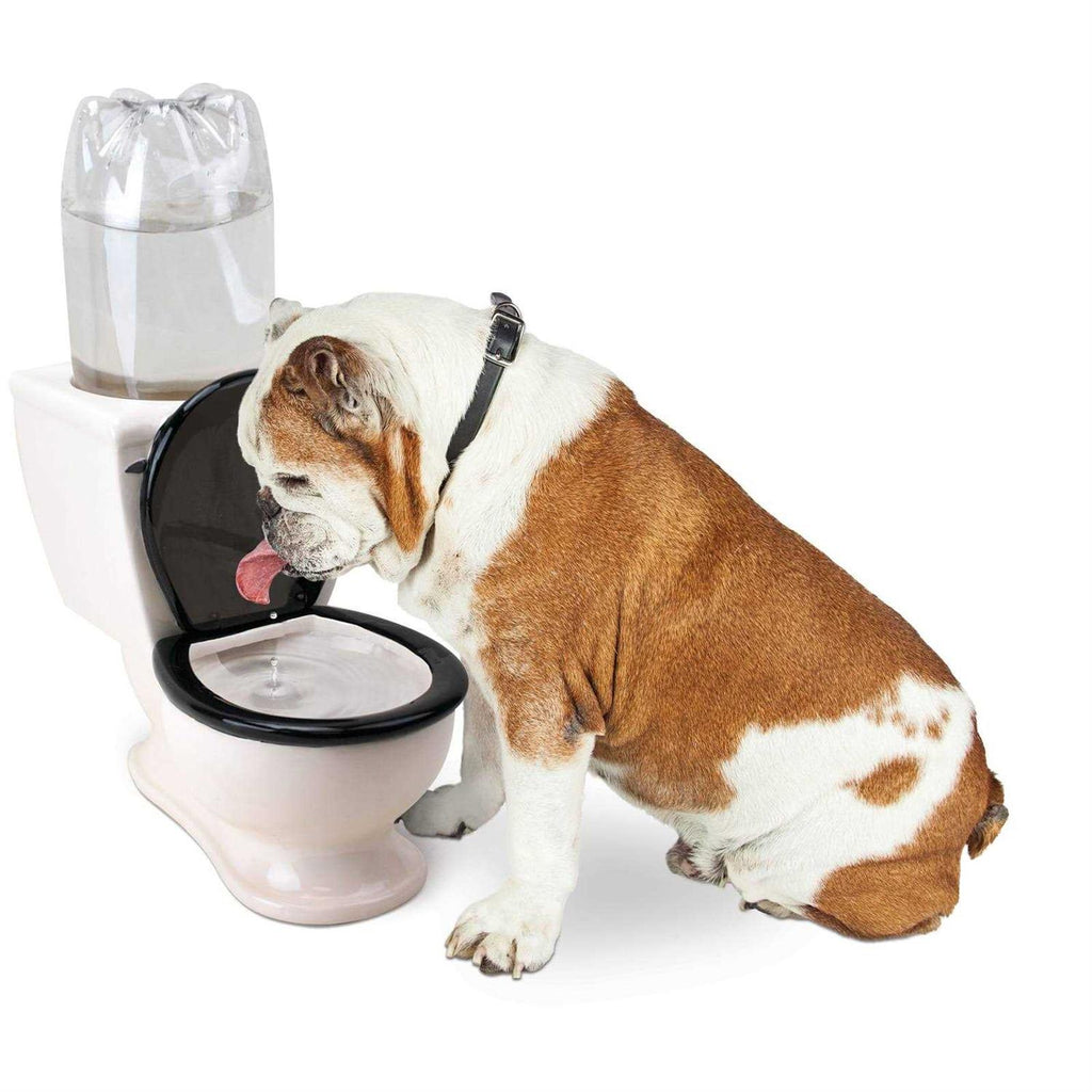 Toilet Water Dish for Dogs H77520