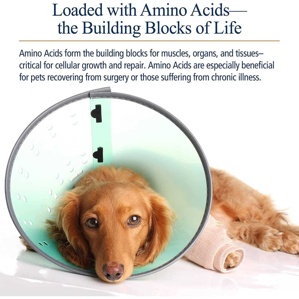Amino B Plex for Pets O897625
