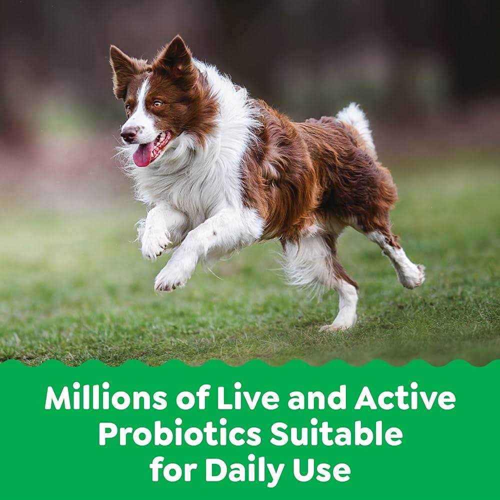 Probiotics for Dogs Chicken Flavor U412260