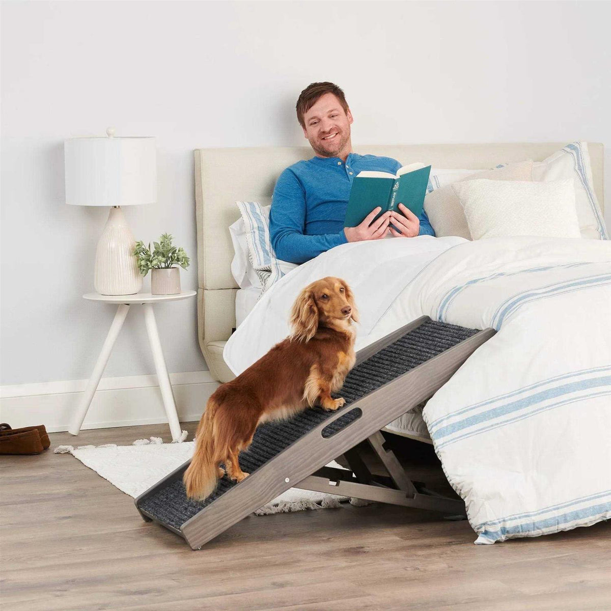Indoor Pet Ramp F90998