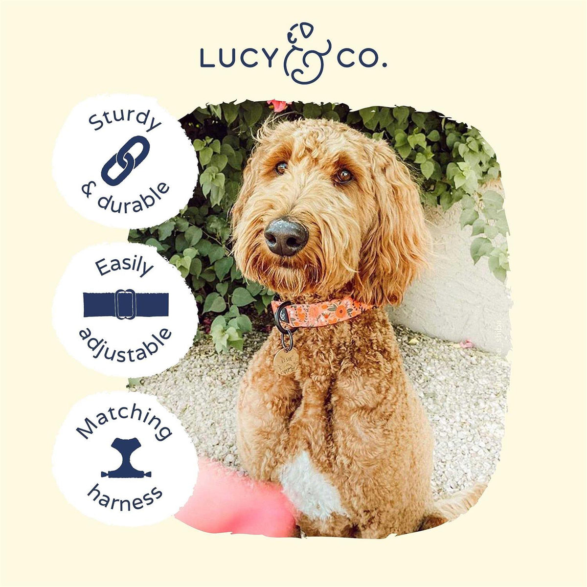 Pink Dog Collar P792