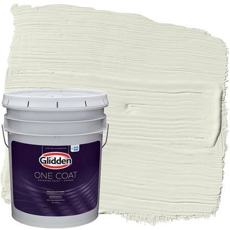5 gal Exterior Paint + Primer G56352