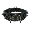 Leather Dog Collar 2 Inch N88592