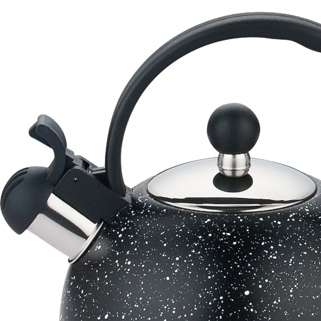 2L Stainless Steel Whistling Kettle T624260