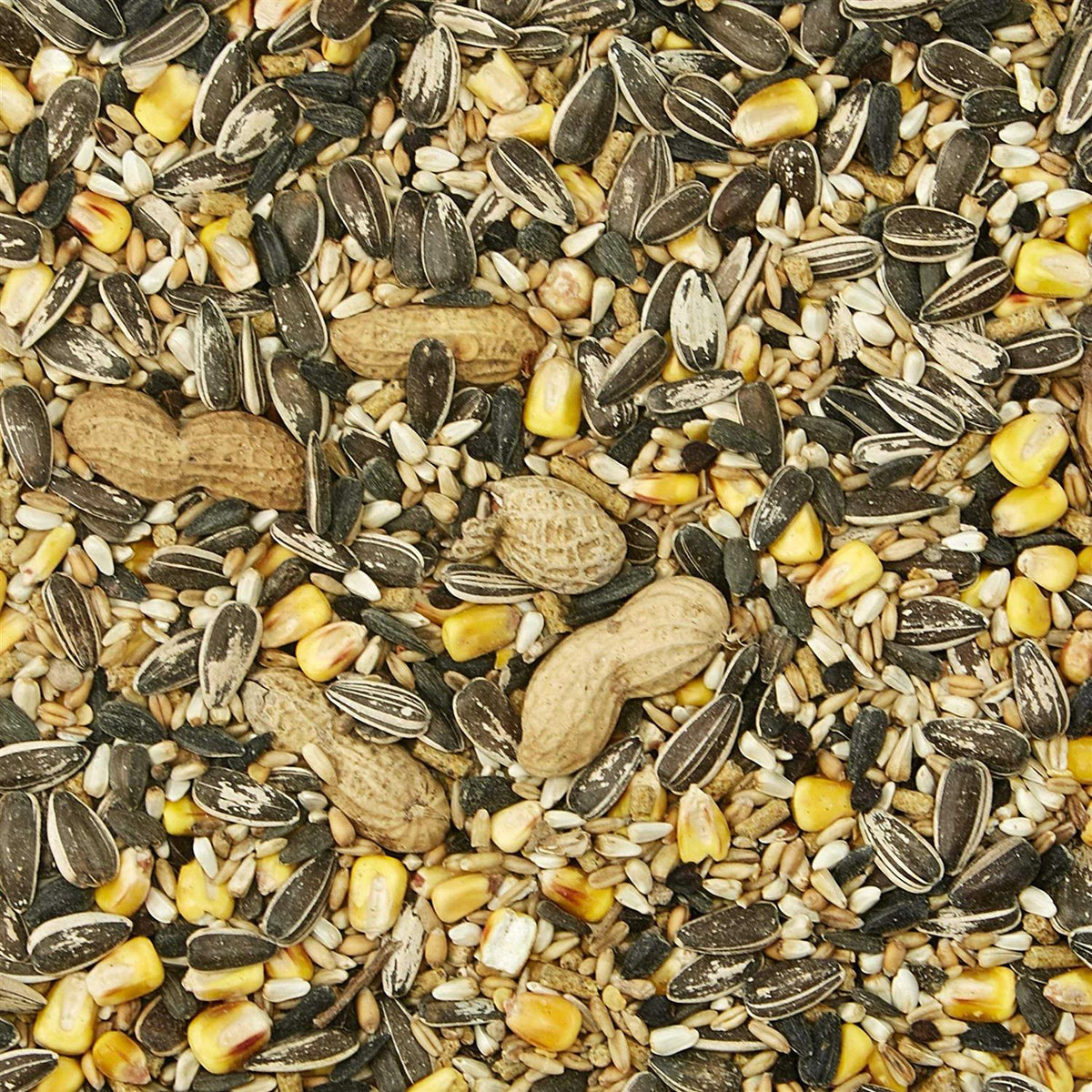 Parrot Food W85270