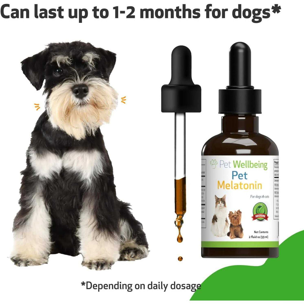 Melatonin for Dogs R4834