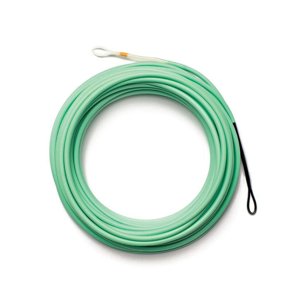 Floating Fly Line Shooting Head - 570 grain W8454
