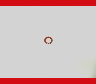 O-Ring (Red) B69968