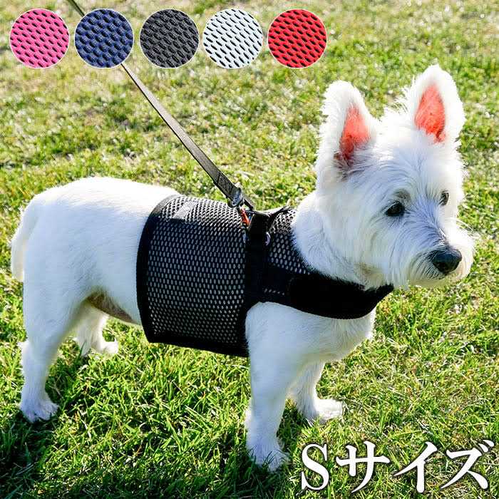 Martingale Walking Dog Harness F277840