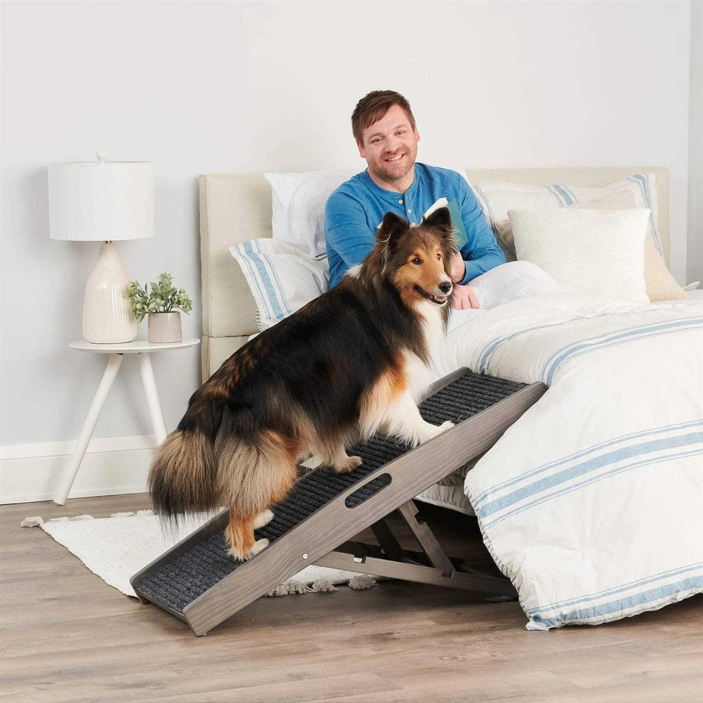 Indoor Pet Ramp F90998