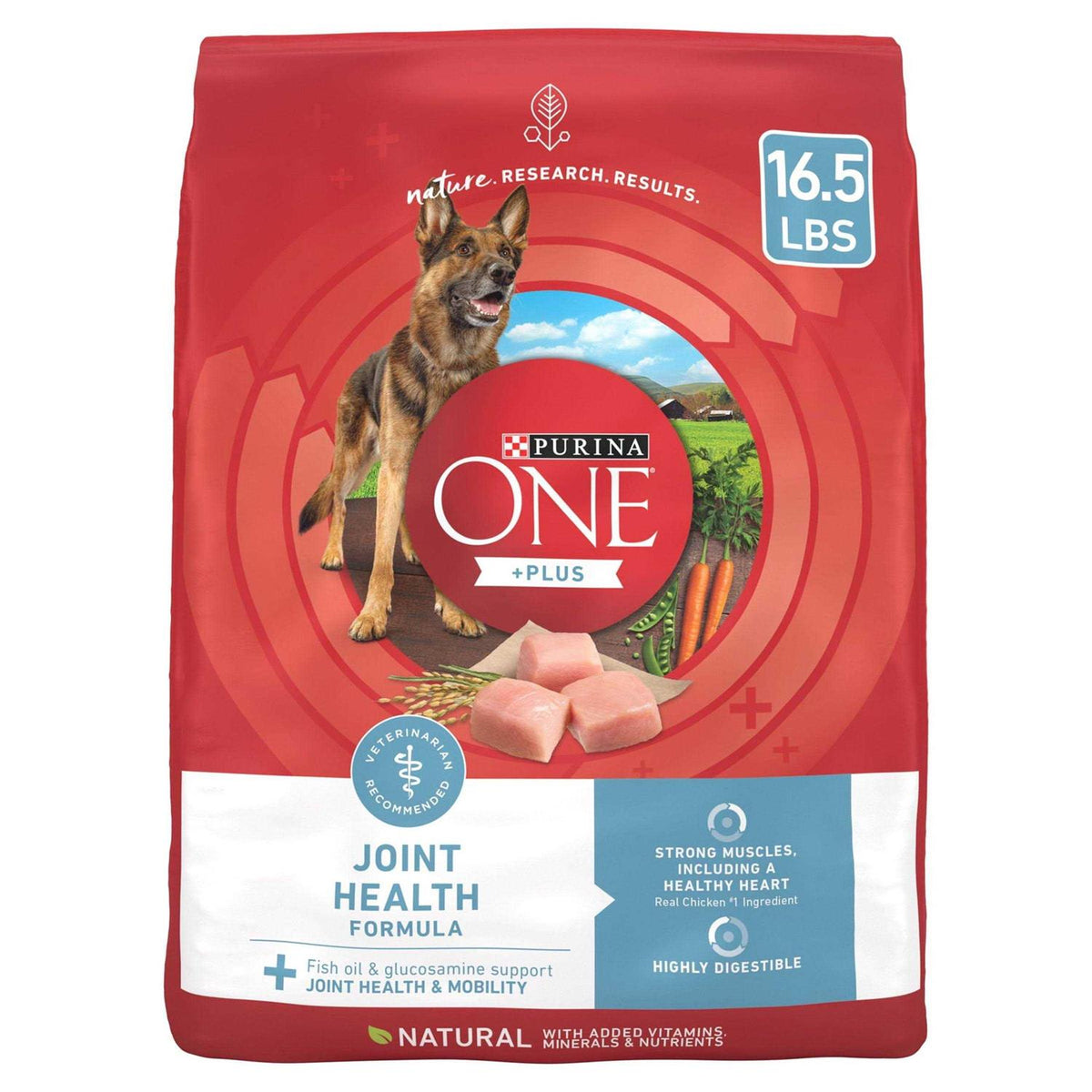 Dry Dog Food Z552843