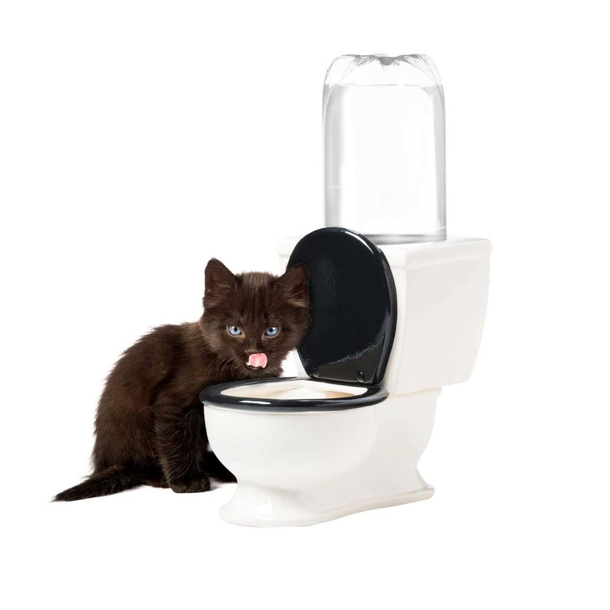 Toilet Water Dish for Dogs H77520