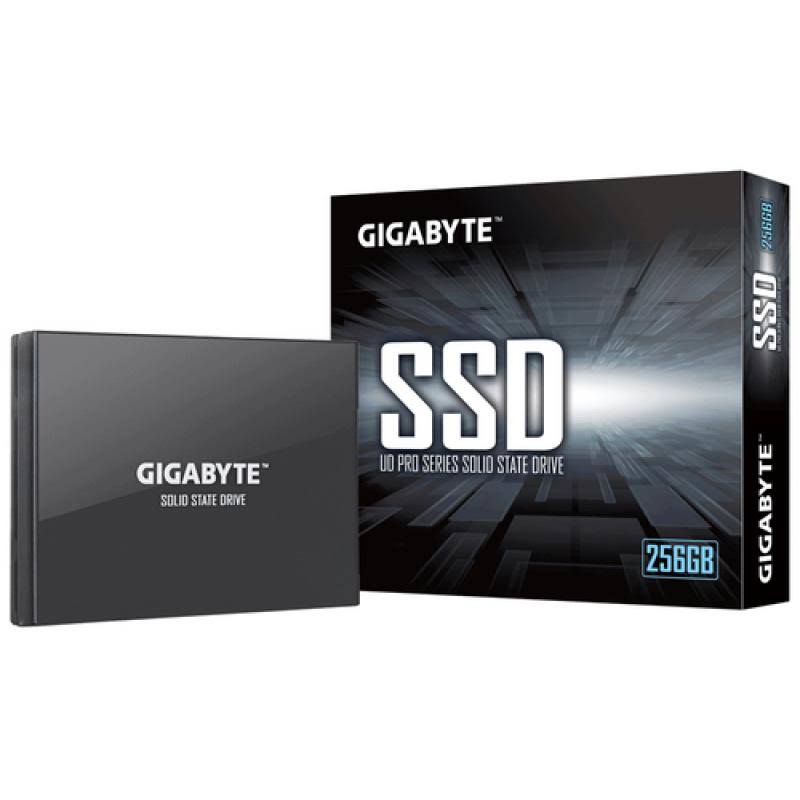 256gb Gigabyte Internal Solid State Drive F863968