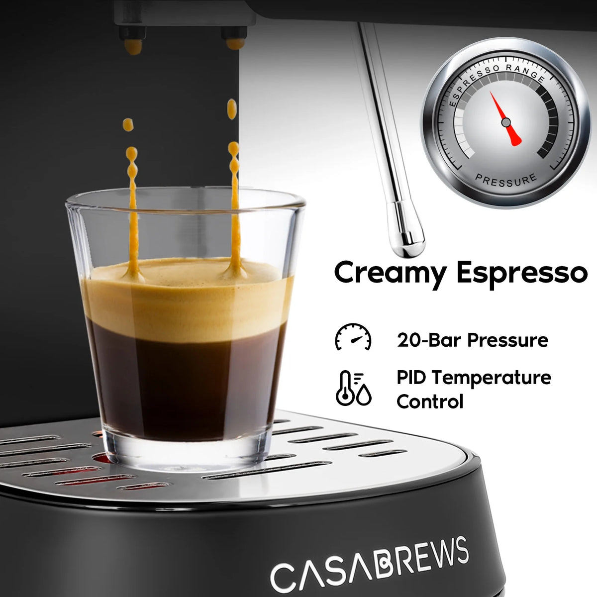 20 Bar Espresso Machine with Milk Frother Stainless Steel Black H991