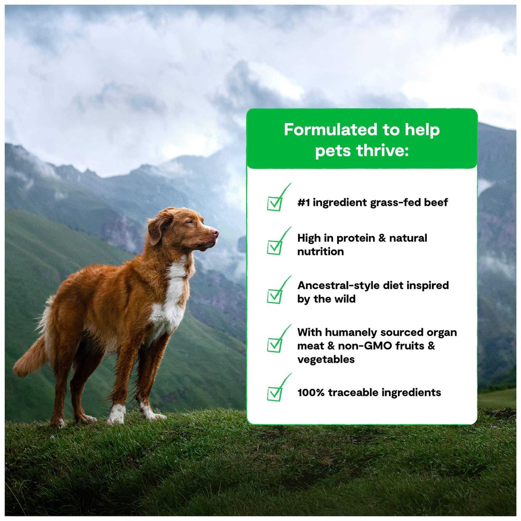 Grain Free Dog Food I186