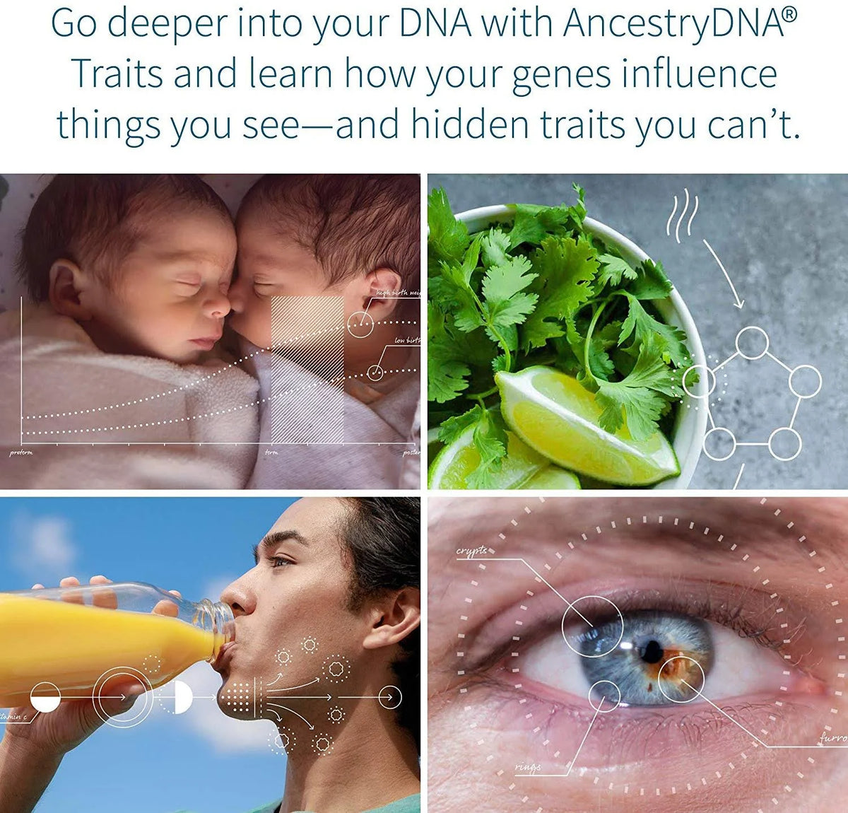 Genetic Ethnicity + Traits Test B40762